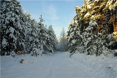 免费制历史战争策略游戏新作《火力与机动》公布