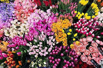 《华纳大乱斗》封测创下Steam格斗游戏在线玩家之最